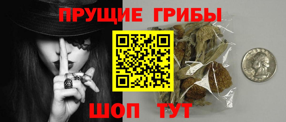 Архангельск  Галлюциногенные грибы GOLDEN TEACHER  Галлюциногенные грибы MAGIC MUSHROOMS  Вход с VPN 